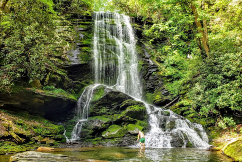 A person stands in a serene pool at the base of a lush, cascading waterfall surrounded by greenery.