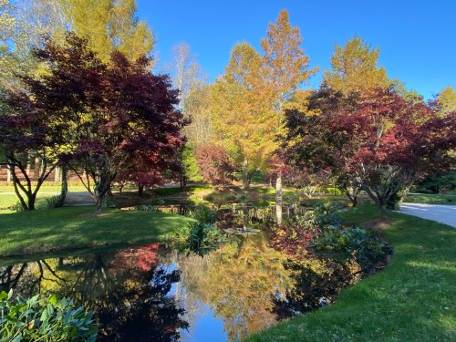 A serene park scene with colorful trees reflecting in a calm pond under a clear blue sky.