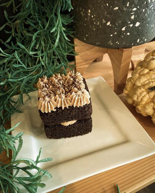 A square chocolate cake with frosting and sprinkles, placed on a white plate surrounded by greenery and decorative items.