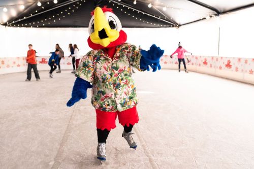 A colorful bird mascot in a Hawaiian shirt ice skating, surrounded by people enjoying the rink.