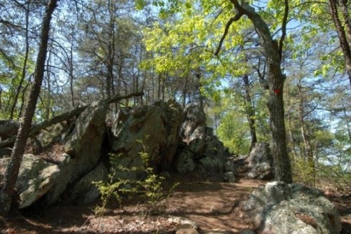 A rocky trail surrounded by trees and greenery under a clear blue sky.