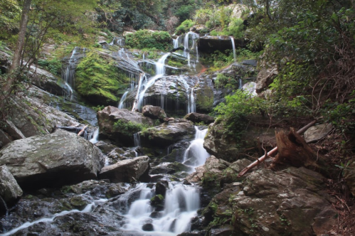 A serene waterfall cascading over moss-covered rocks, surrounded by lush greenery.