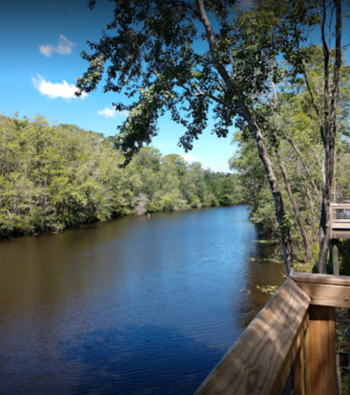 A serene river flows through a lush green landscape under a clear blue sky, viewed from a wooden deck.