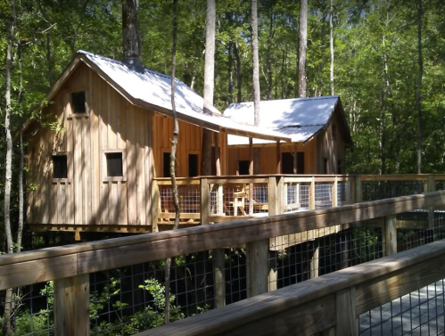 A wooden treehouse with a deck, nestled among trees in a forested area.