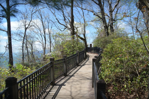 A wooden walkway surrounded by trees and greenery, leading through a scenic landscape under a blue sky.