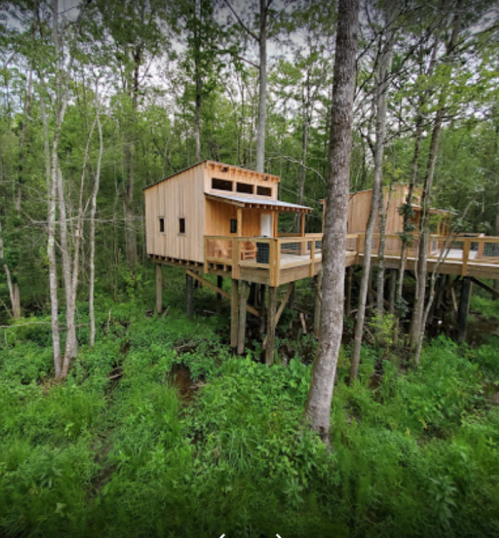 Two wooden treehouses on stilts surrounded by lush green trees and vegetation in a forested area.