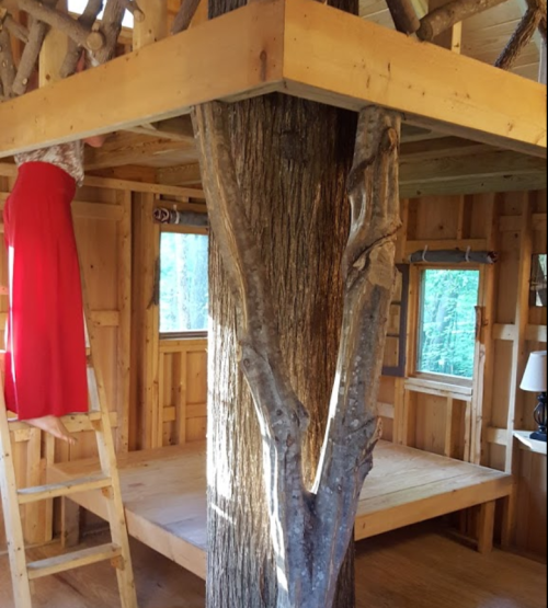 A cozy wooden treehouse interior with a ladder, a tree trunk, and a person in a red dress hanging from the loft.