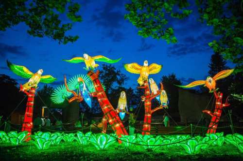 Colorful illuminated parrots perched on bamboo, surrounded by vibrant green foliage against a twilight sky.