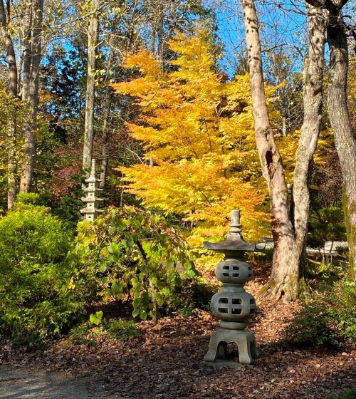 A stone lantern surrounded by vibrant autumn foliage and trees in a serene garden setting.
