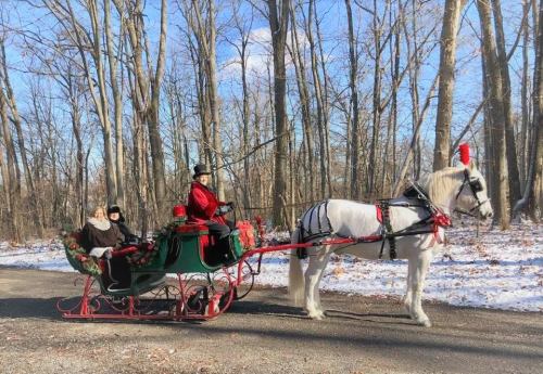 A festive horse-drawn sleigh with passengers, surrounded by snowy trees in a winter landscape.