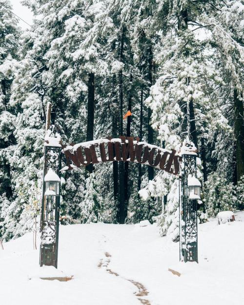 A snowy forest entrance with a decorative archway reading "Northridge," surrounded by tall pine trees.