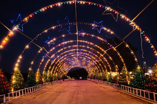 A festive archway of colorful lights and stars over a road, surrounded by decorated Christmas trees at night.