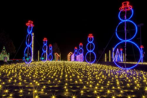 Colorful holiday lights create a festive scene with illuminated snowmen and trees against a dark night sky.