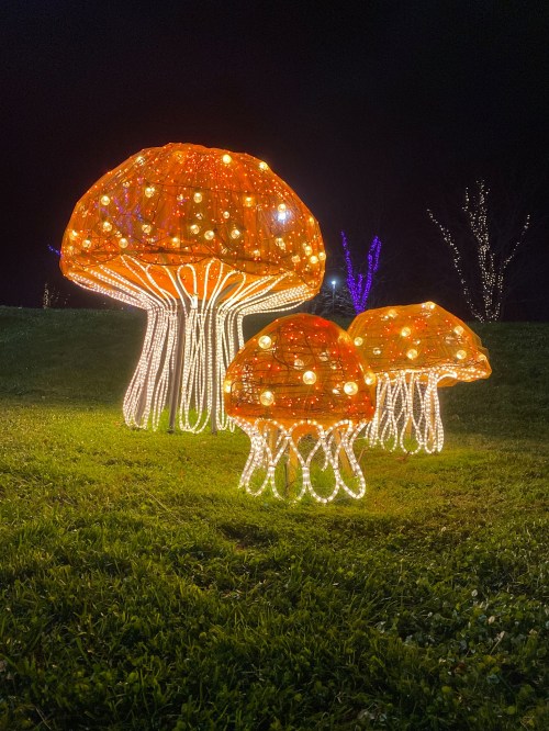 Three illuminated jellyfish sculptures with orange lights, glowing against a dark night sky, set on a grassy area.