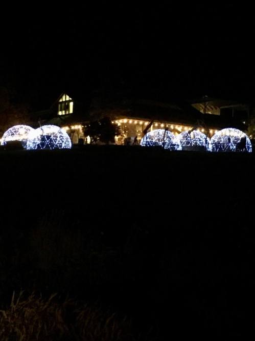 Illuminated igloo-shaped structures with fairy lights at night, set against a backdrop of a warmly lit building.