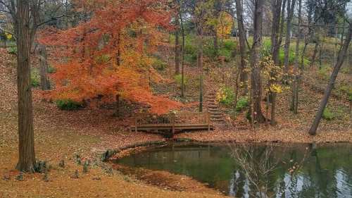 A serene park scene with a wooden bridge over a pond, surrounded by autumn foliage and colorful trees.