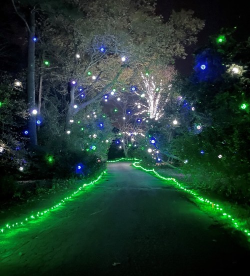 A nighttime path illuminated by colorful lights, with trees adorned in blue and green decorations.