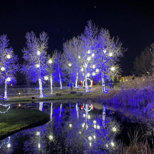 A serene scene of illuminated trees by a pond, reflecting colorful lights against a dark night sky.