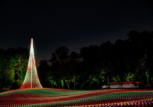 A brightly lit Christmas tree made of colorful lights stands in a dark park, surrounded by trees and a night sky.