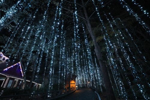 A pathway illuminated by cascading blue and white lights, surrounded by trees at night. A cozy cabin is visible in the background.