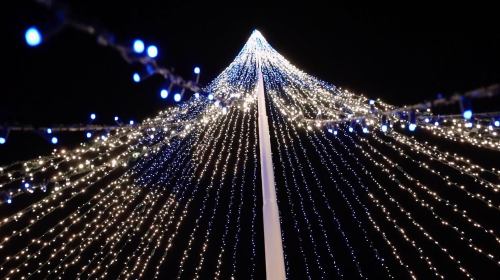 A tall Christmas tree adorned with blue and white lights, glowing against a dark night sky.
