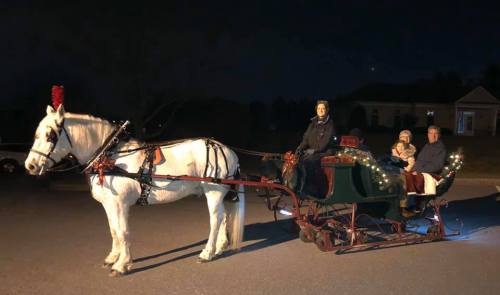 A horse-drawn sleigh with festive decorations carries a family through a quiet, illuminated street at night.