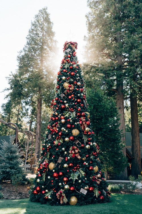 A tall Christmas tree adorned with red and gold ornaments, set against a backdrop of tall green trees and sunlight.