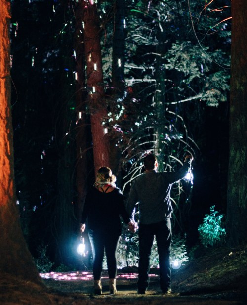 A couple holding hands, walking through a dark forest illuminated by colorful lights.