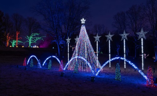Colorful holiday lights display featuring a large tree, stars, and decorative arches in a nighttime setting.