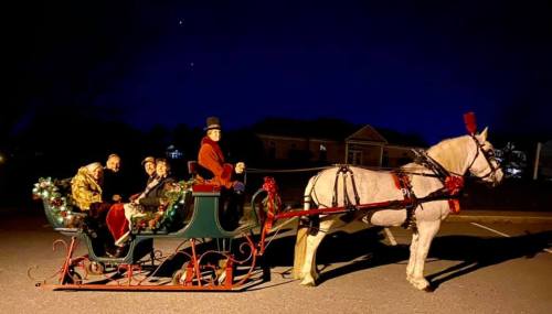 A festive horse-drawn sleigh with four passengers, decorated with greenery, against a night sky.