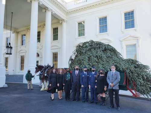 A group of people in formal attire stands in front of the White House with a large Christmas tree and a horse-drawn cart.