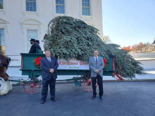 Two men in suits stand beside a decorated wagon carrying a large Christmas tree outside a building.