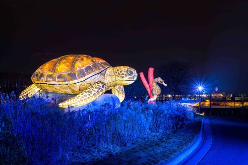 A large illuminated turtle sculpture beside a seahorse, set against a night sky with colorful lights.