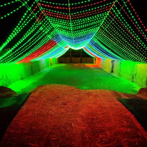 A vibrant display of green and red lights draped overhead, illuminating a pathway with hay on the ground.