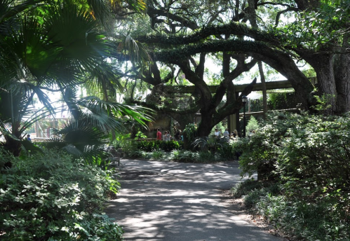 A winding path through lush greenery and large trees, with people visible in the background enjoying the scenery.