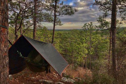 A tent set up between trees, overlooking a lush green forest and distant hills under a cloudy sky.