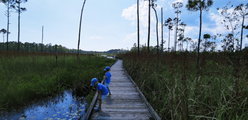 Two children in blue shirts explore a wooden boardwalk by a marsh, surrounded by tall grass and trees under a blue sky.