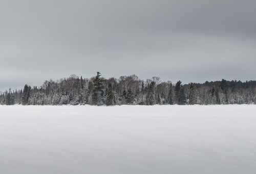 A snowy landscape with a frozen lake and a line of trees in the background under a cloudy sky.