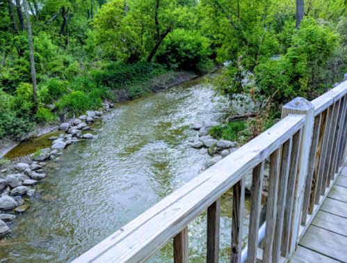 A wooden bridge overlooks a serene creek surrounded by lush greenery and smooth stones along the water's edge.