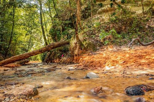 A serene forest scene with a shallow creek, surrounded by lush greenery and a fallen tree over the water.