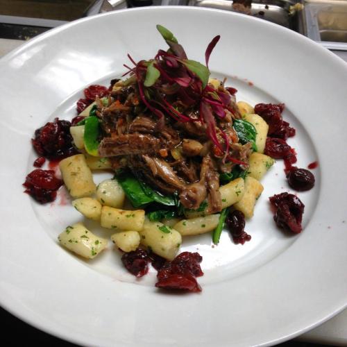 A plate of gnocchi topped with pulled meat, spinach, and garnished with microgreens and cranberries.