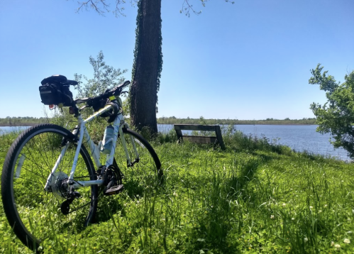 A bicycle rests on green grass near a calm lake under a clear blue sky, with a bench visible in the background.