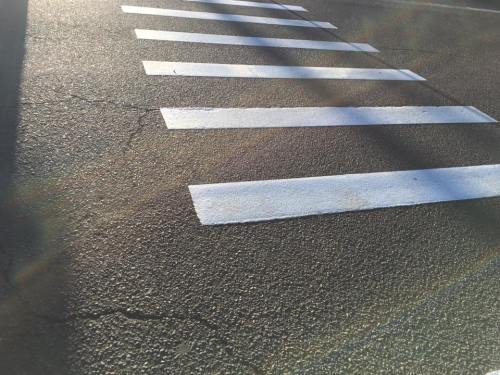Close-up of a crosswalk with white stripes on a textured asphalt surface, illuminated by sunlight.