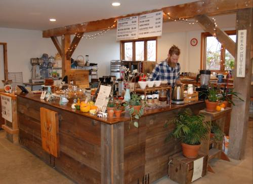 A rustic coffee shop counter with a barista, plants, and various coffee equipment in a cozy setting.