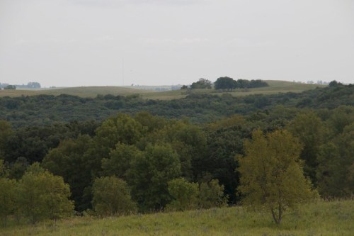 A panoramic view of rolling hills covered in lush green trees under a cloudy sky.