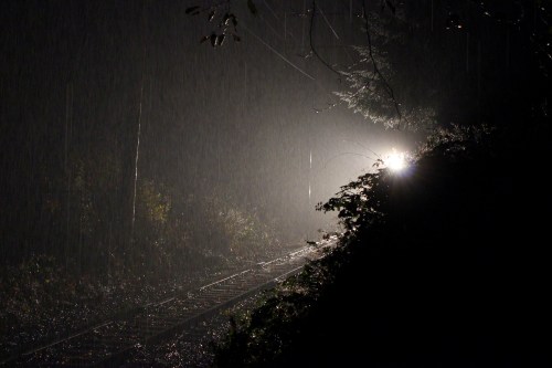 A train's headlight shines through heavy rain at night, illuminating the dark, wet railway and surrounding foliage.