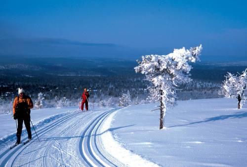 Two skiers traverse a snowy landscape, with frosted trees and a vast, blue sky in the background.