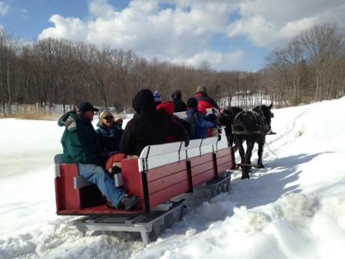 A group of people riding on a horse-drawn sleigh through a snowy landscape with trees in the background.