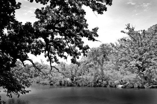 A serene black and white landscape featuring a calm river surrounded by lush trees and foliage.