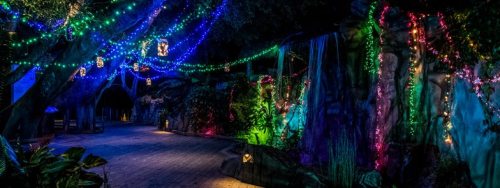 A beautifully lit pathway surrounded by colorful lights and lush greenery at night.
